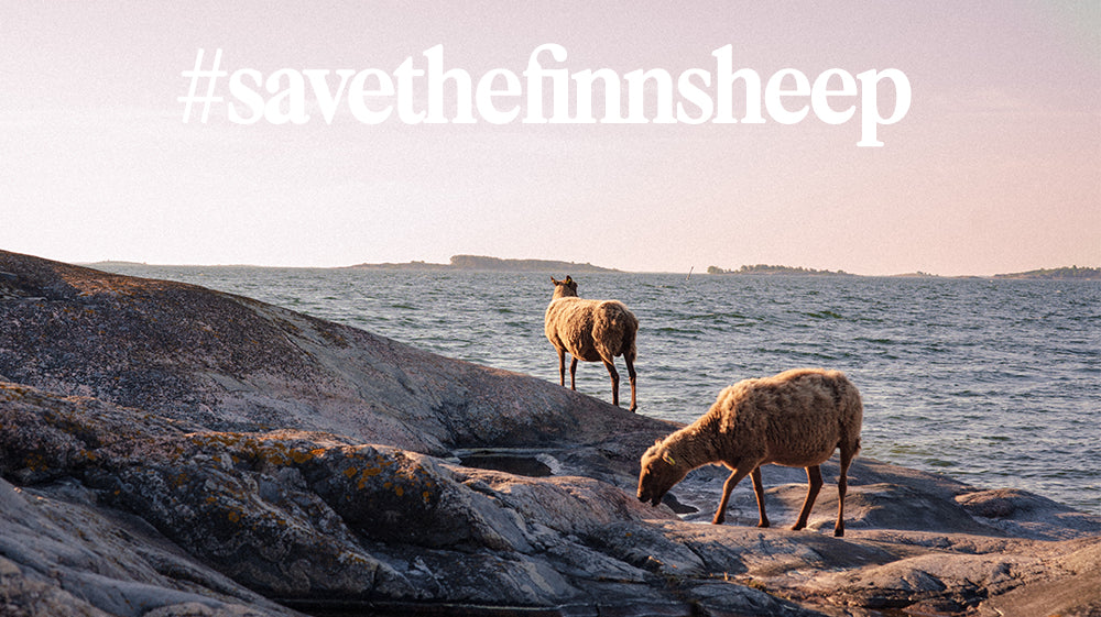 Save the Finnsheep!