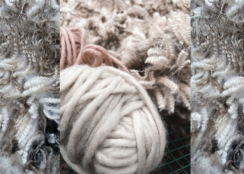 VILLA-päivän opeilla eteenpäin villan lajittelussa